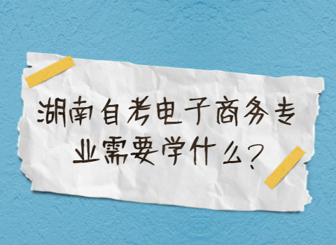 湖南自考專業(yè)需要學什么